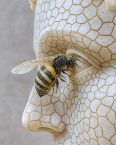 a close up of a statue with a bee on it's face and head