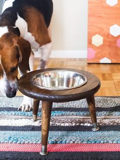 a dog eating out of a metal bowl on top of a wooden table in the living room