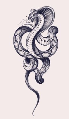 215+ King Cobra Tattoo Ideas (2023) - TattoosBoyGirl King Cobra Tattoo, Snake Sketch, Cobra Tattoo, Serpent Tattoo, Snake Drawing, Kunst Tattoos, Snake Tattoo Design, Muster Tattoos, Snake Art