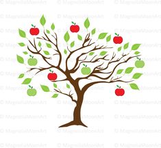 an apple tree with green leaves and red apples