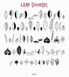 leaf doodles on a sheet of paper