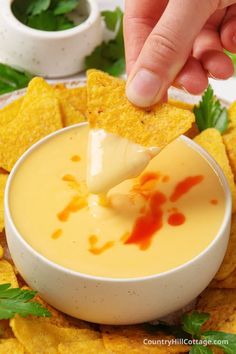 a person dipping tortilla chips into a white bowl filled with cheese and sauce