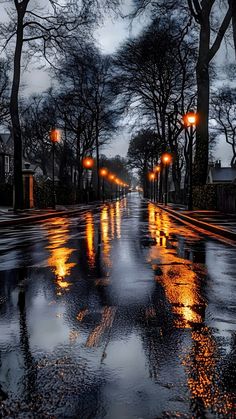 an empty street at night with the lights on and wet pavement in the foreground