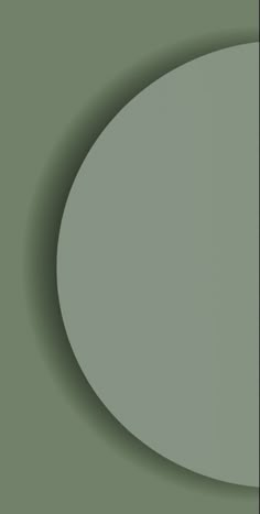 an oval shaped object on a green background