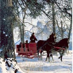 two horses pulling a red carriage through the snow