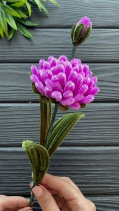 a person is holding a purple flower in their hand