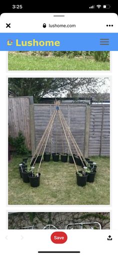 an image of some plants in pots on the grass and another photo of someone's garden