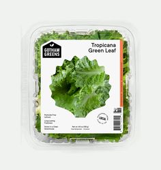 a plastic container filled with green lettuce