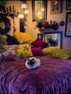 a cat laying on top of a purple bed