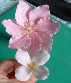 two pink flowers are being held up by someone's hand on a green surface