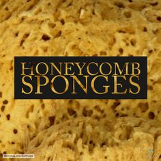 We pride ourseves on holding the largest selection of natural sea sponges in the UK. Not only do we have all the useful species from the traditional bath Honeycomb sponge; tiny make up and foundation sponges, but also GIANT sponges. Traditional Bath, Foundation Sponge, Traditional Baths