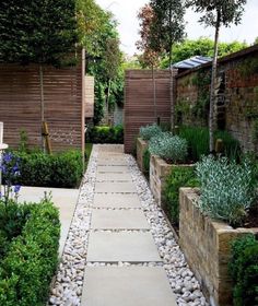 an outdoor garden with stone walkways and plants on either side, along with wooden fences