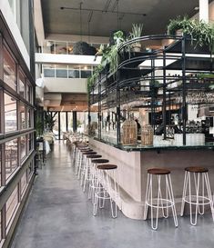 an indoor bar with stools and plants