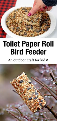 an outdoor craft for kids to make with toilet paper roll bird feeders and seeds