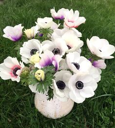 a vase filled with white and purple flowers sitting on top of green grass covered ground