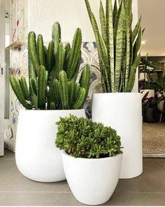 two white planters with green plants in them