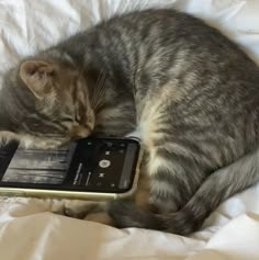 a cat laying on top of a cell phone next to a white sheet covered bed