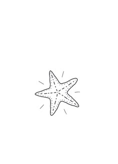 a starfish drawing on a white background