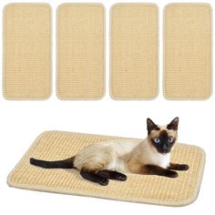 a siamese cat laying on top of a mat