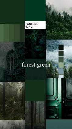 a collage of forest scenes with the words forest green in white and dark green