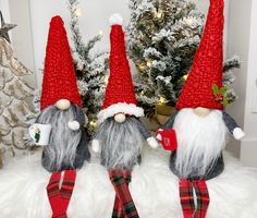 three gnomes sitting next to each other in front of a christmas tree