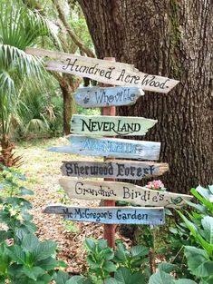 a wooden sign pointing to several different locations in the woods with trees and plants around it