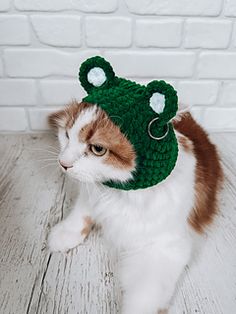 a cat wearing a crocheted frog hat on top of it's head