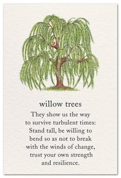 the willow tree poem on white paper