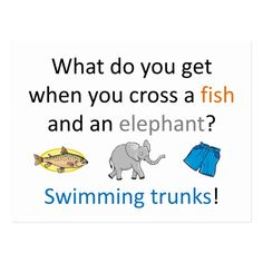 an elephant, fish and swimming trunks sign