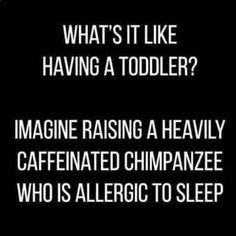 a black and white photo with the words, what's it like having a toddler? imagine raising a heavily caffiated chimpane who is aller to sleep