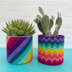 two potted plants sitting next to each other on a table