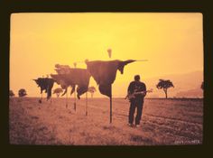 a man is standing in front of some cows