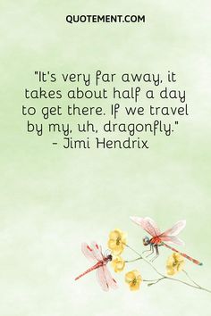 the quote is written in black and white on a green background with two dragonflys