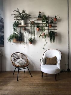 two chairs in front of a white wall with plants on it and a chair next to them