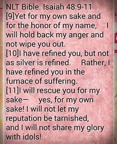 a pink background with the words nit bible written in red and black on it