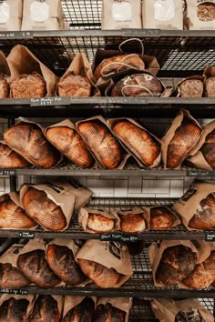 breads and pastries on shelves in a bakery