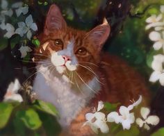 an orange and white cat sitting in the middle of some flowers with its eyes open