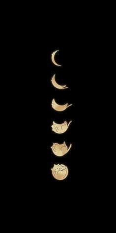 the moon and crescent phases are shown in this dark photo, with one half lit up