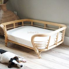 a black and white dog laying on the floor next to a wooden bed with mattress