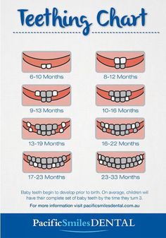 the teeth chart for dental care is shown