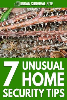 seven unusual home security tips that are easy to follow in the urban survival site,