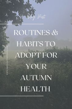 November To Do List 30 Day, Fall Rhythms, Autumn Reset, Autumn Rituals, Autumn Wellness, Equinox Autumn, Living Seasonally, Autumn Solstice