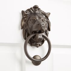 a door handle with a lion's head on it