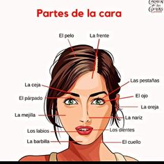 the parts of a woman's face in spanish