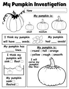 Pumpkin Investigation Worksheet - FREE Printable! Pumpkin Investigation, Pumpkin Lessons, Fall Worksheets, Pumpkin Activities, Fall Kindergarten, Fall Preschool, Kindergarten Science, Preschool Science, Science Worksheets