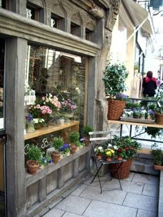 an outdoor flower shop with potted plants on display