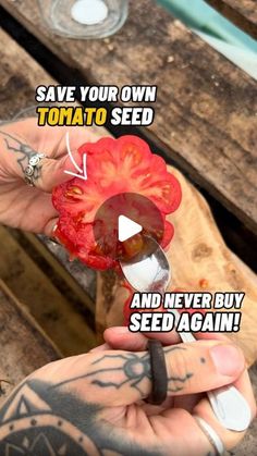 a person holding a spoon with tomatoes on it and the caption says save your own tomato seed and never buy seed again