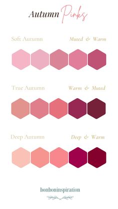 Pinks For Dark Autumn, Deep Autumn Pink Palette, Autumn Pink Color Palette, Pink For Dark Autumn, Pink For Autumn Palette, Dark Autumn Pink Palette, True Autumn Pink, Pink For Deep Autumn, Dark Autumn Pink