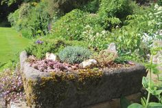 a garden filled with lots of different types of flowers and plants next to a lush green field