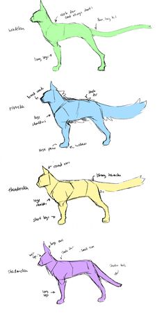 four different colored dogs are shown in this drawing